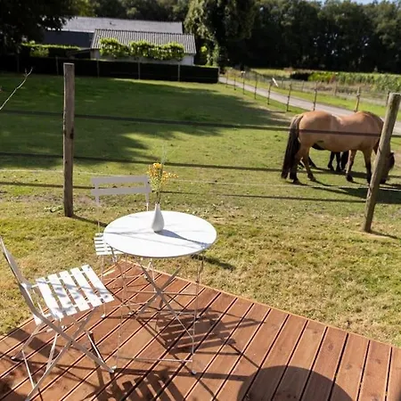 Campeggio De Verpozing - Vakantiehuisjes *