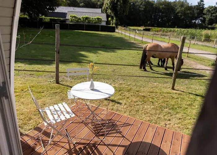 Camping De Verpozing - Vakantiehuisjes *